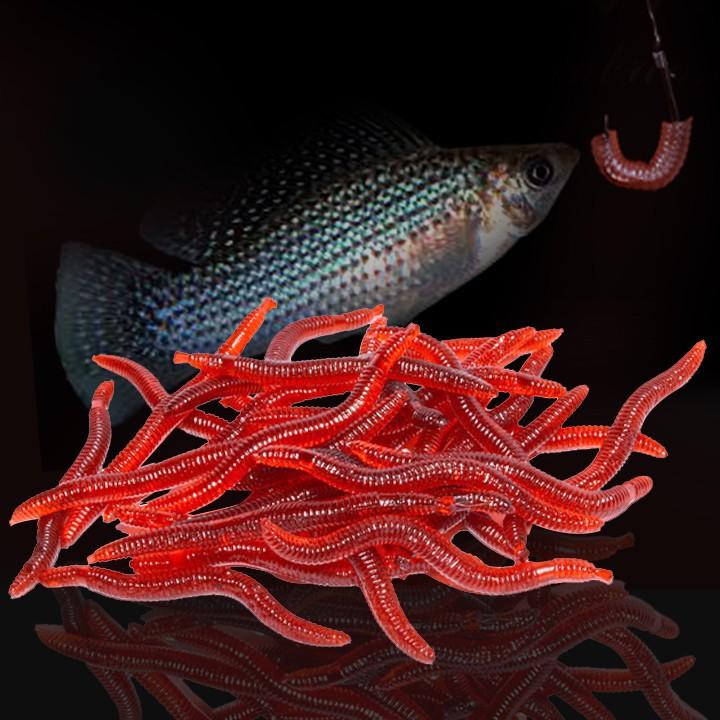Giun Mềm Giả Mồi Câu Cá