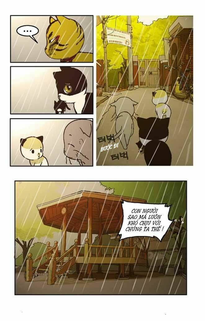 papi nyang chapter 2 15