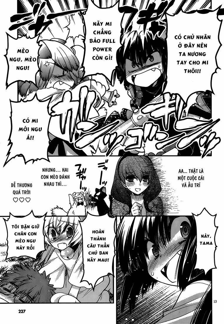 tamanyan chapter 8 14