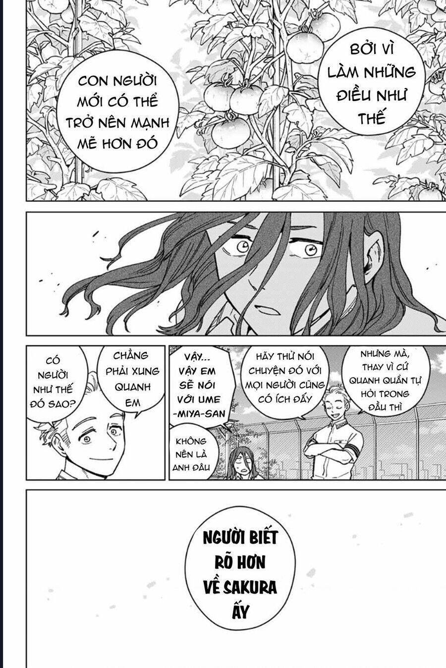 wind breaker chapter 165 18