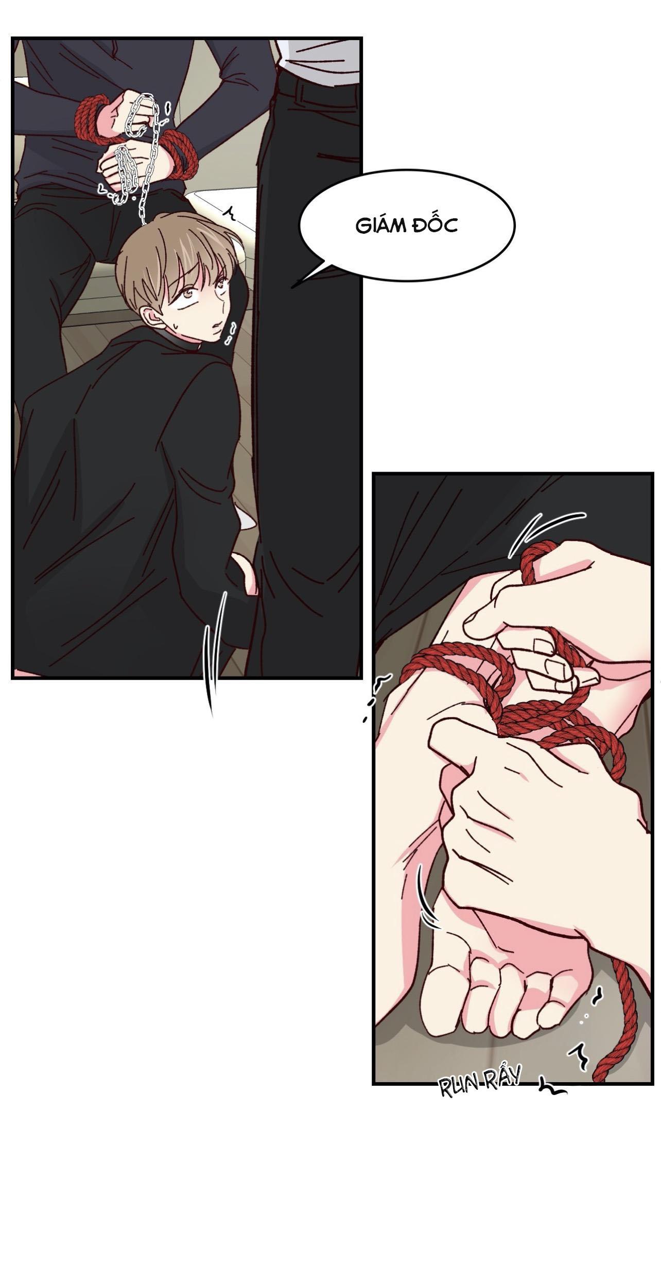 món tráng miệng của sếp tổng chapter 58 48