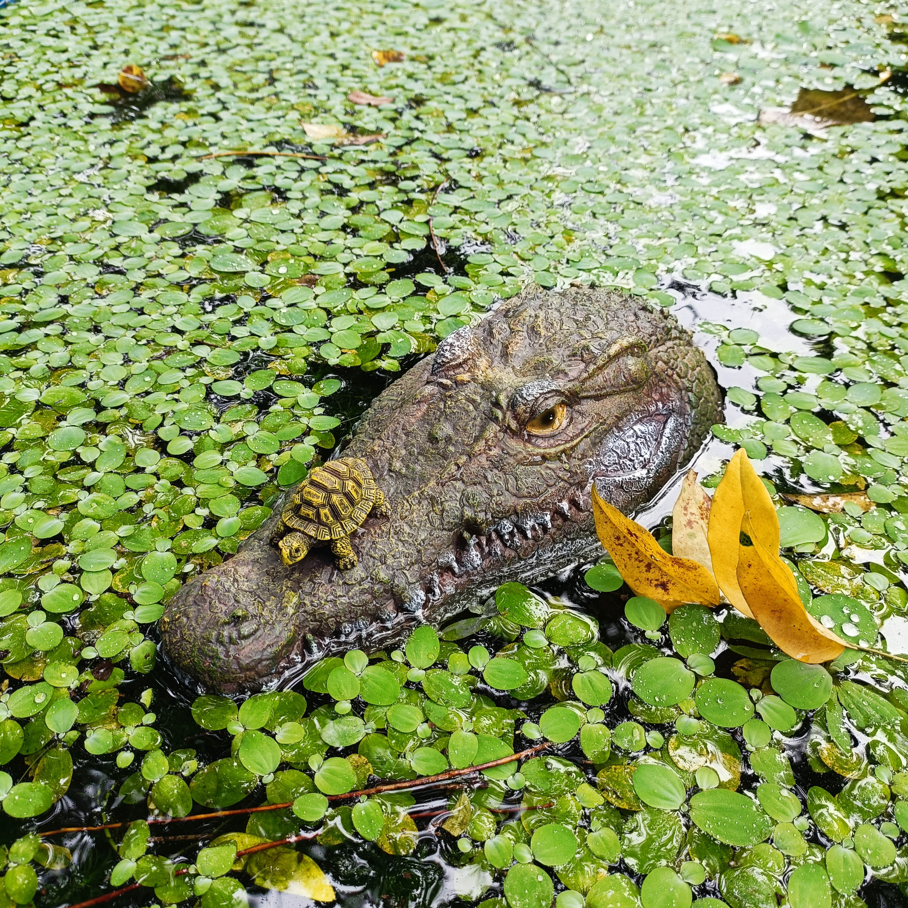 Mô hình Cá sấu thả nổi trang trí hồ ngoài trời