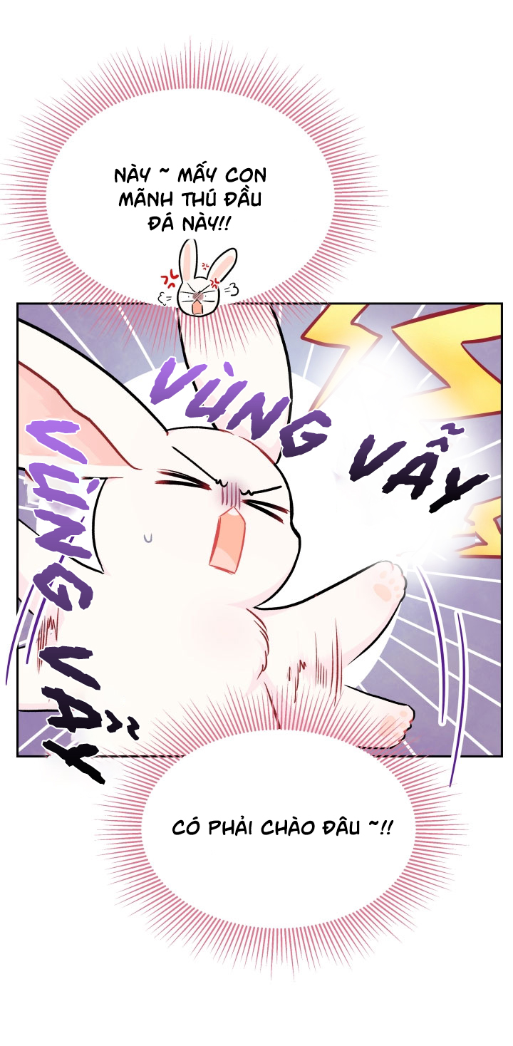 mối liên kết giữa báo đen và bé thỏ chapter 14 29