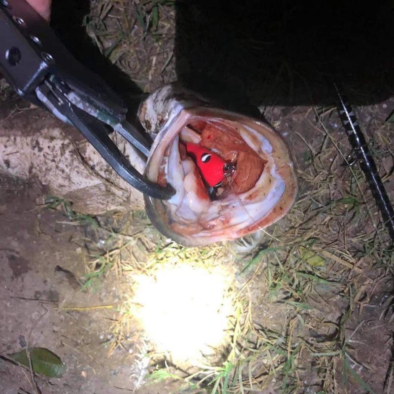 Mồi Câu Lure Nhái Hơi F35 - Mồi Nhái Hơi Chìm F35