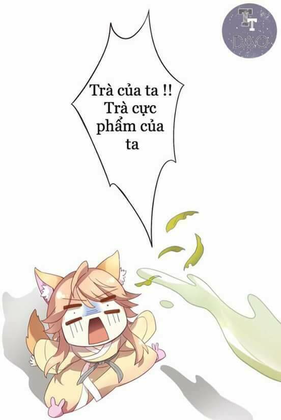 dưới móng vuốt mèo chapter 2 16