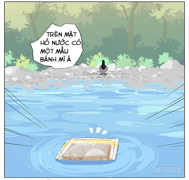 sẻ chiếu mới và nhạn phong sương chapter 8 3