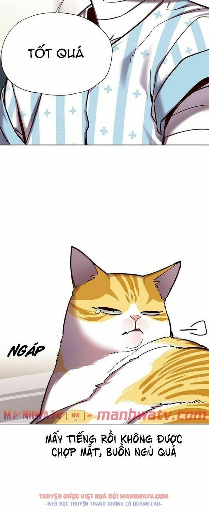 biến thân thành mèo chapter 113 58