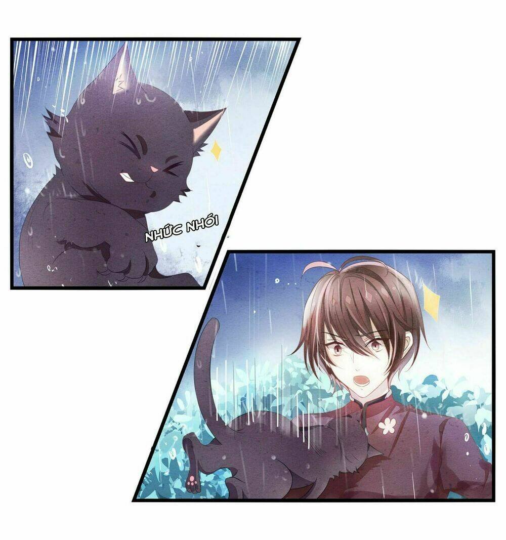 làm mèo của ta chapter 0 8