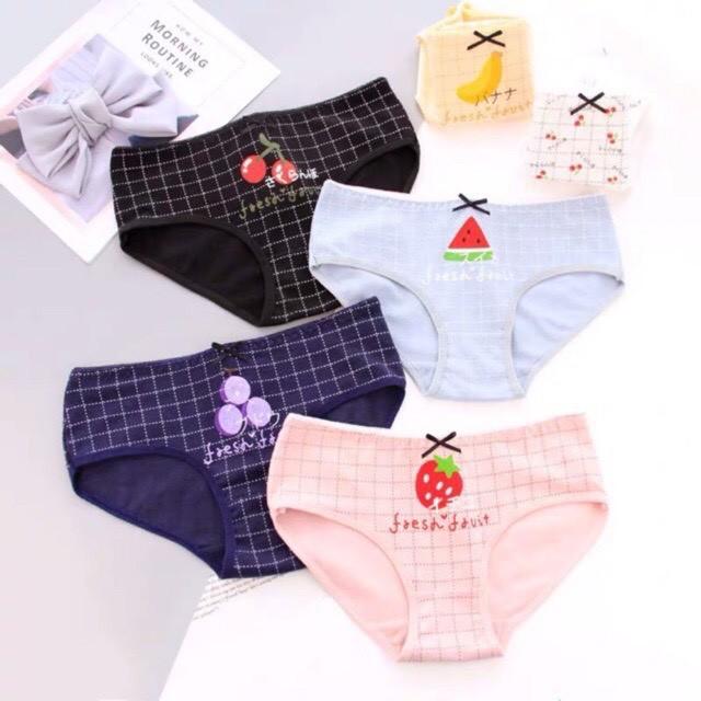 Hộp 05 quần lót cotton hình mèo ghi trắng