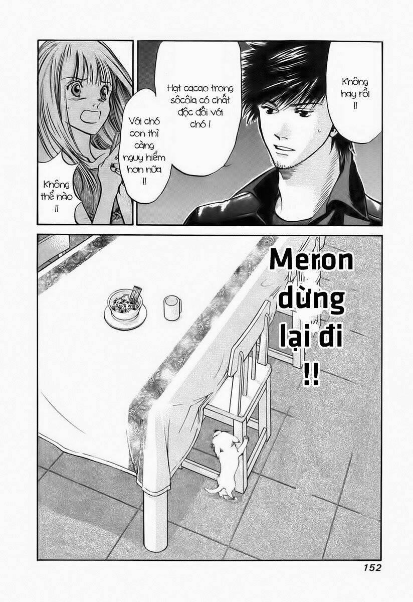 cô nàng yêu chó chapter 38 18