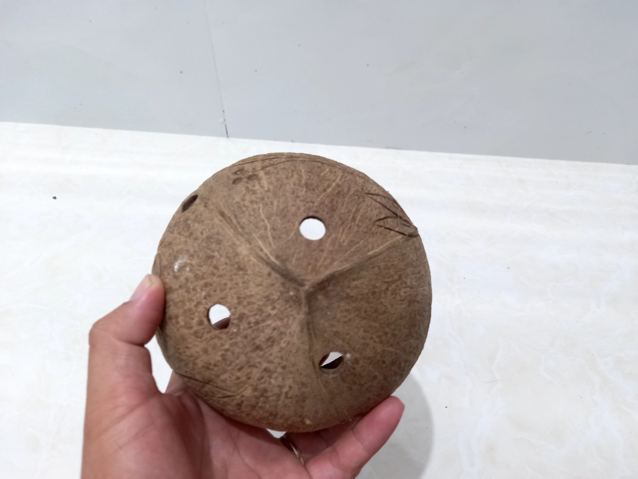 Bộ 10 gáo dừa trồng lan giá tốt