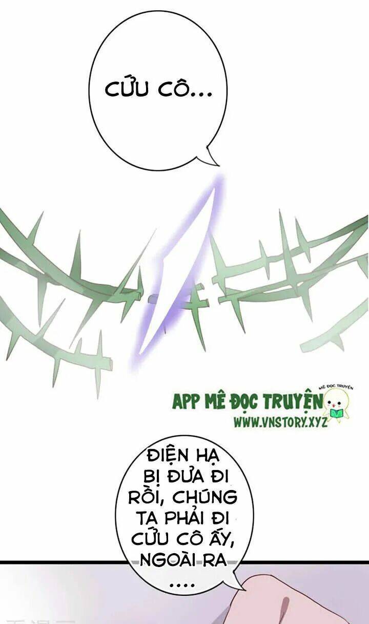 sau con mưa mùa hạ chapter 76 19
