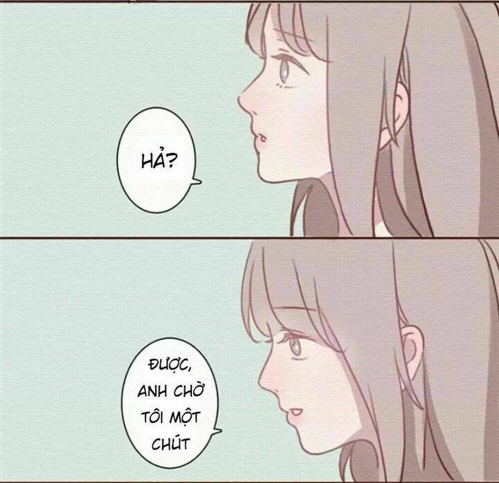 không ai là một hòn đảo cô độc chapter 1 15