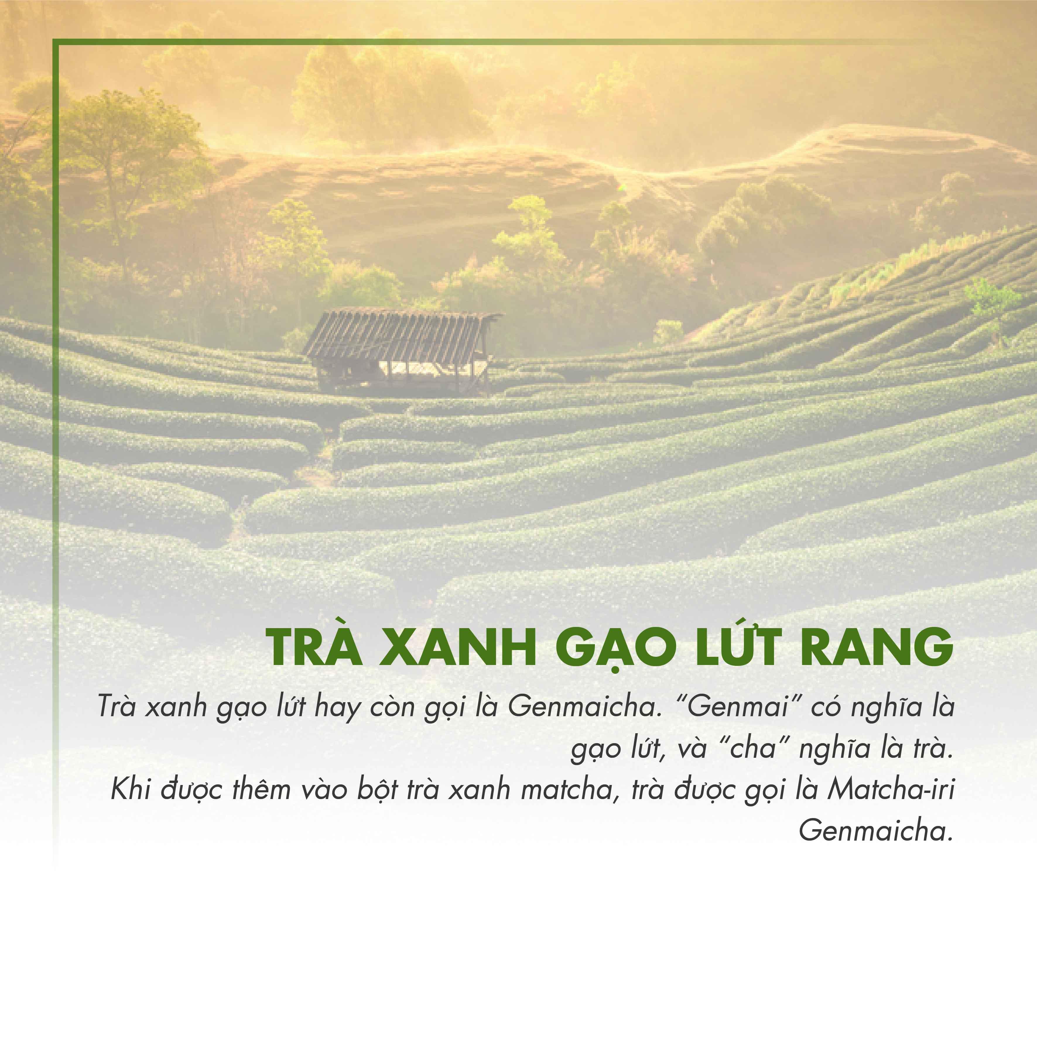 Trà Xanh Gạo G241 Dotea 100g - Ngọt Thanh Hương Gạo Vị Matcha Nồng Nàn