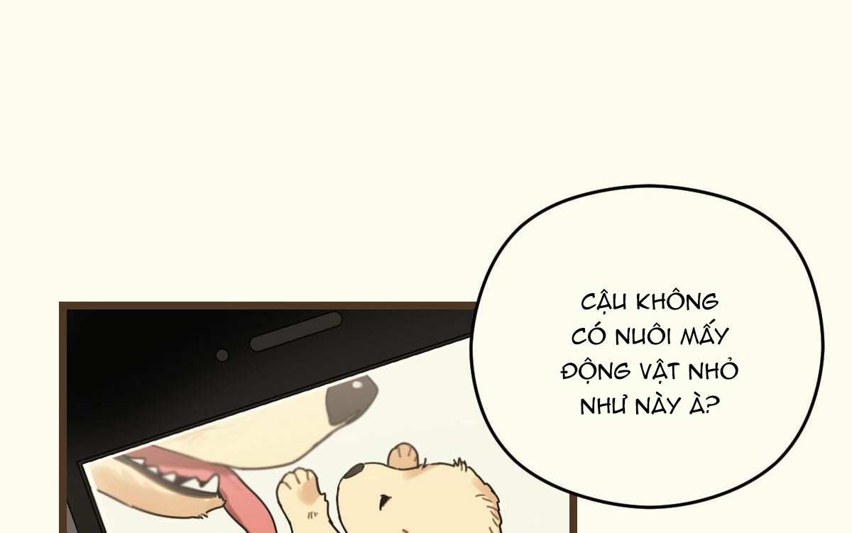 tương phùng chapter 15 313