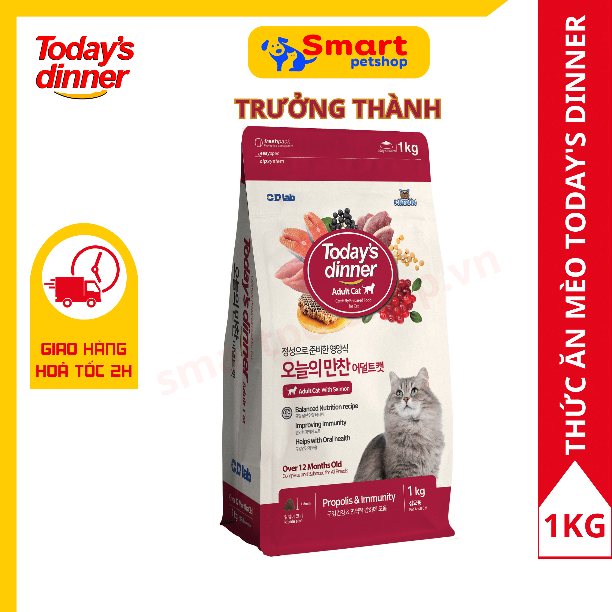 THỨC ĂN HẠT CHO MÈO TRƯỞNG THÀNH TODAY'S DINNER ADULT CAT 1KG