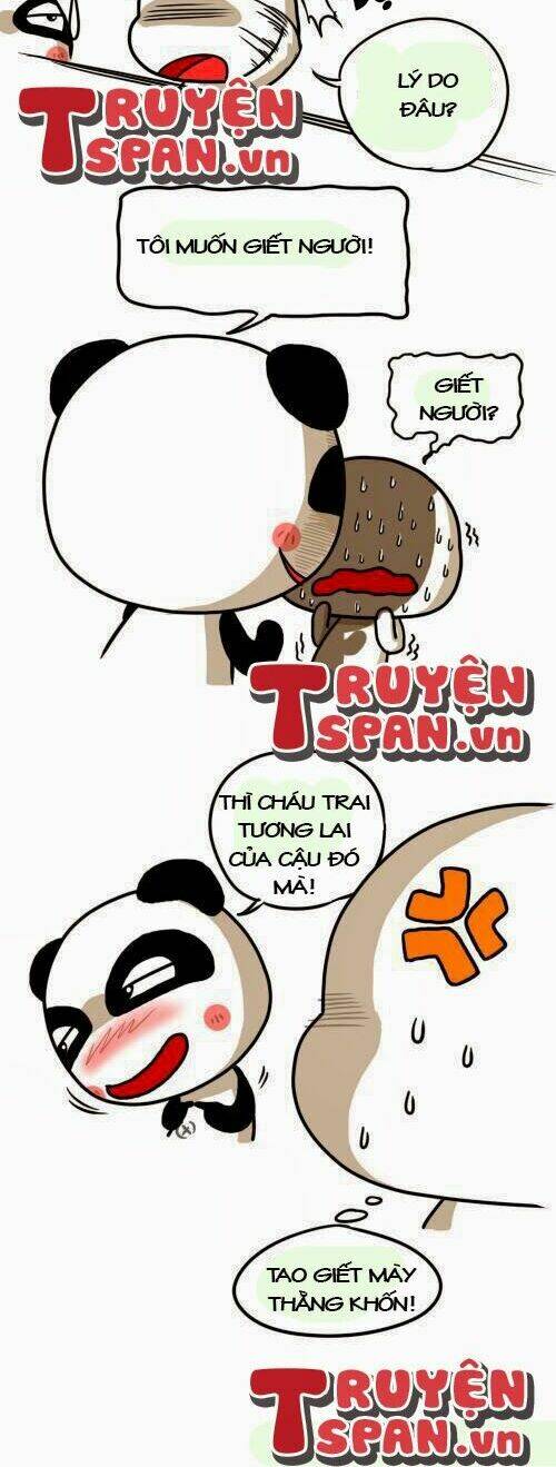 gấu ngốc và những người bạn chapter 8 2