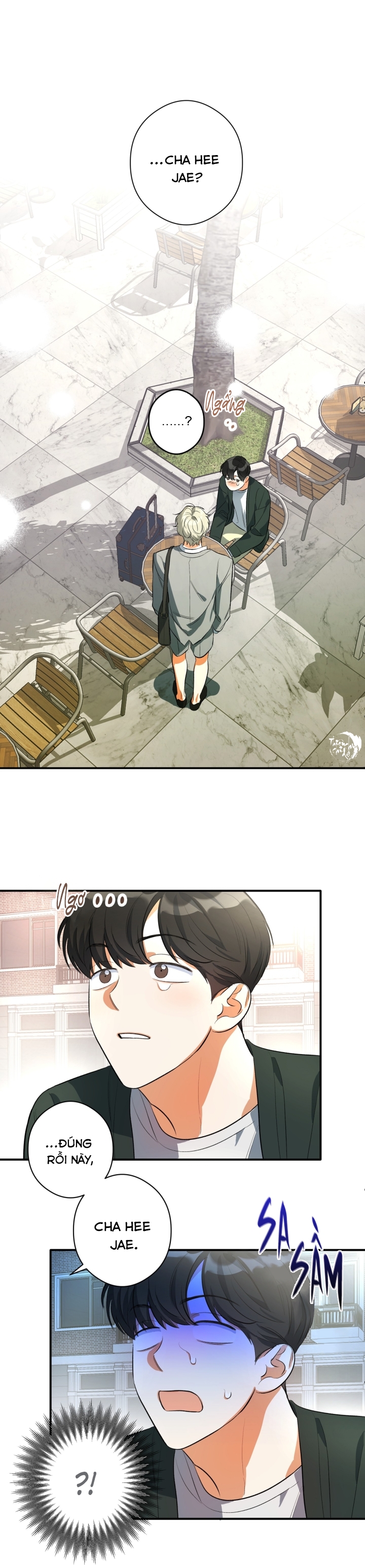 chuẩn mực tỏ tình chapter 1 23