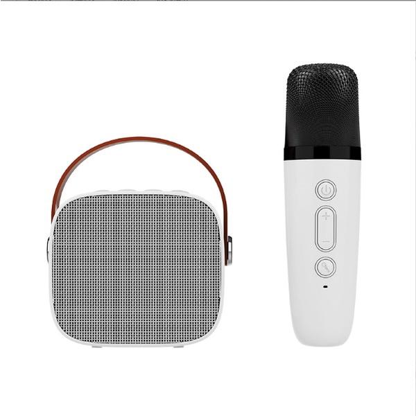 Bộ Micro loa bluetooth Karaoke Mini Ngoài Trời KTV Cardioid