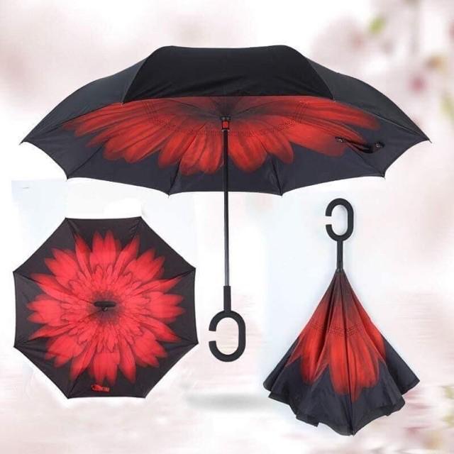 Ô mở ngược