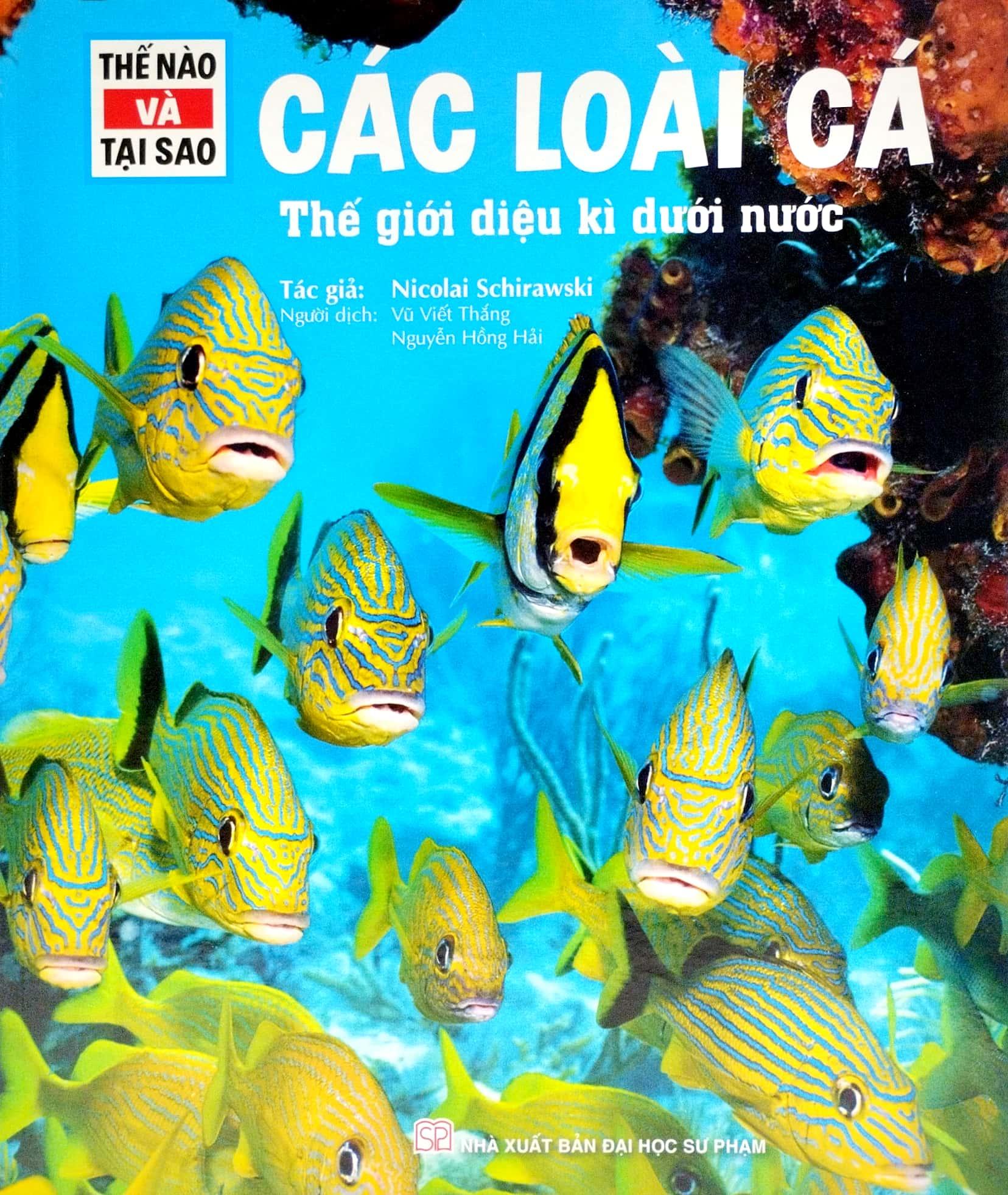 Thế Nào Và Tại Sao - Các Loài Cá - Thế Giới Diệu Kì Dưới Nước - Bìa Cứng (Tái Bản 2023)