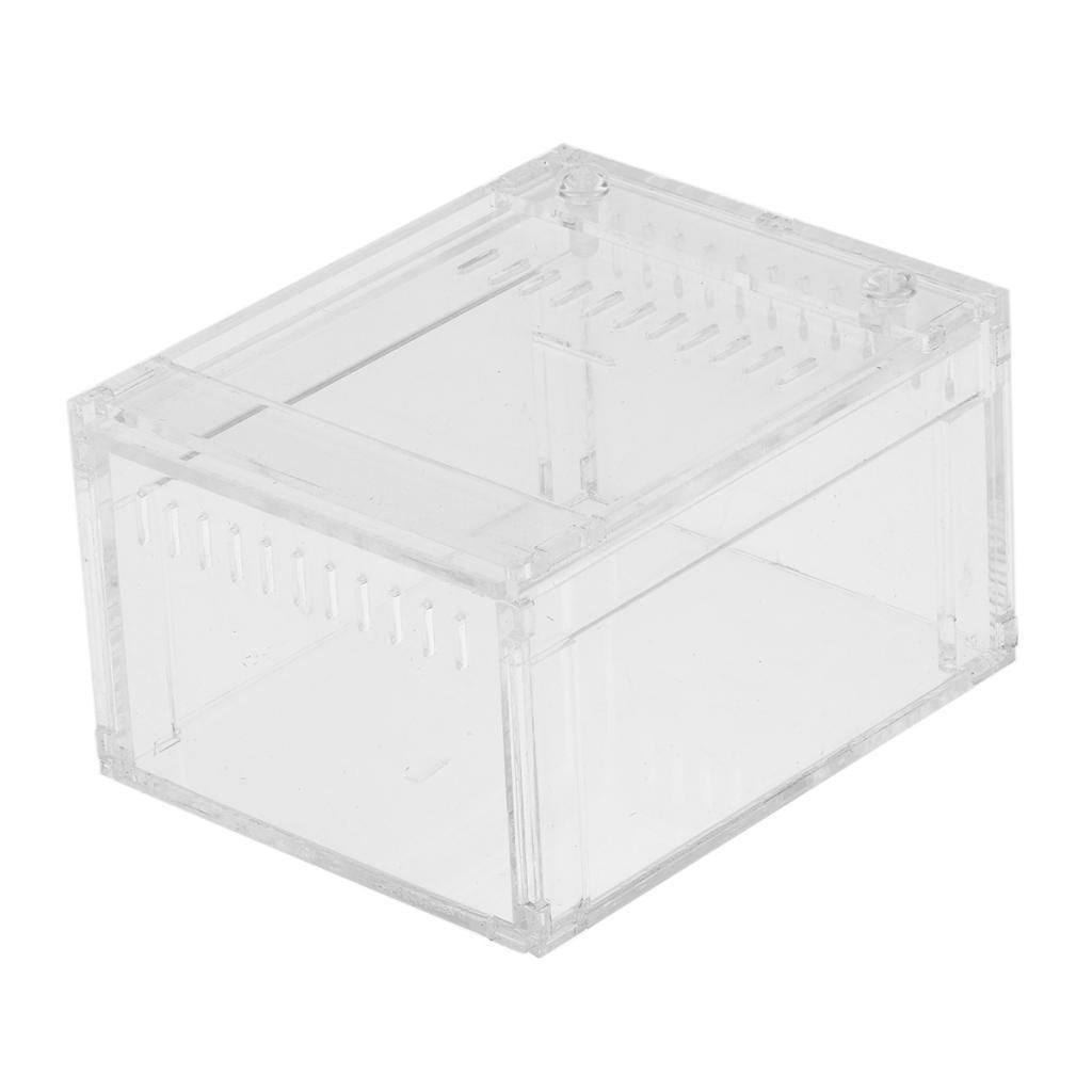 Acrylic Pet Reptiles Worm Breeding Box Clear Cases for Reptile