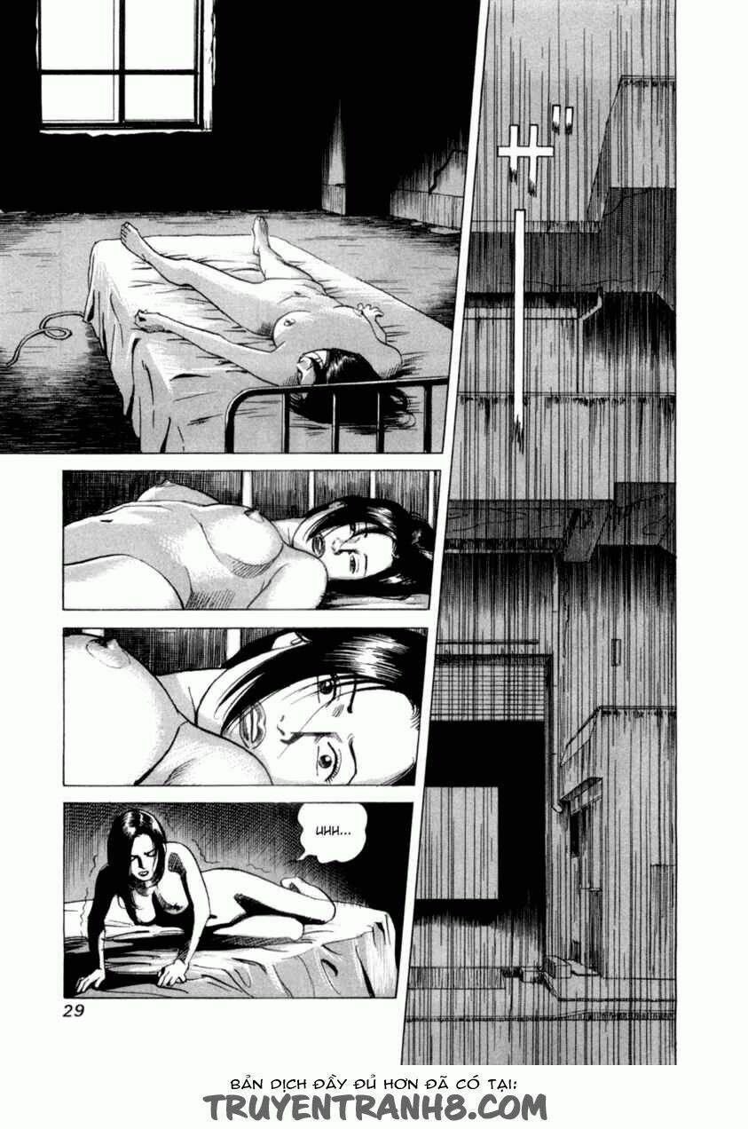 cambrian chapter 1 31