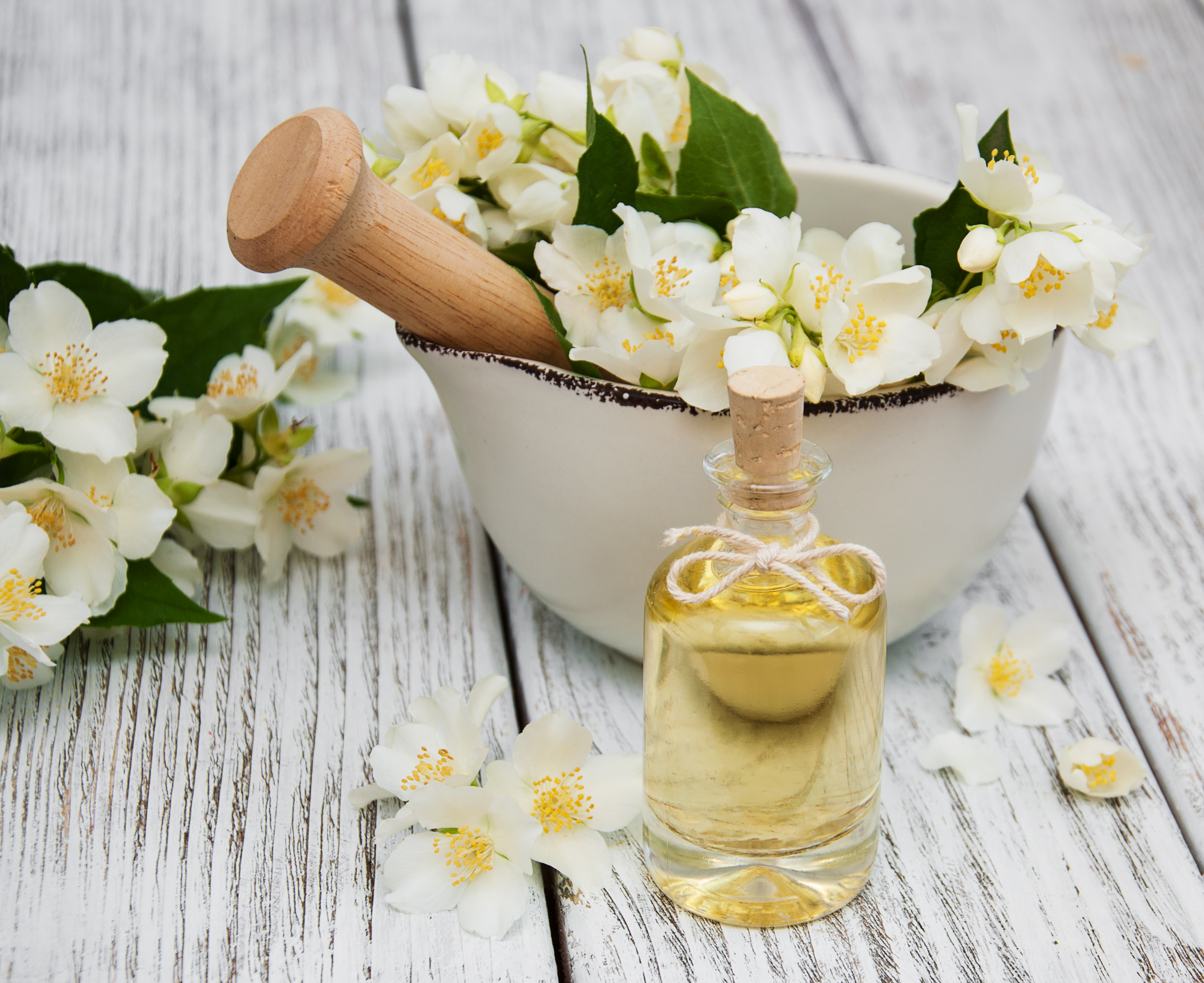 Tinh Dầu Hoa Nhài Treo Phòng, Treo Xe Hơi Tạo Hương Thơm Dịu Nhẹ Quý Phái - Tinh Dầu Hoa Lài TIDAMO (Jasmine) Nhập Khẩu, Có Kiểm Nghiệm Giúp Thơm Phòng, Thư Giãn và Tốt Cho Sức Khỏe