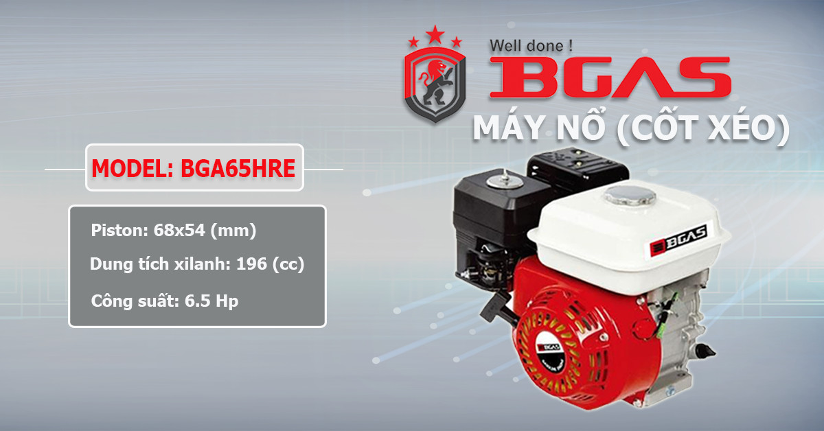 Máy nổ chạy xăng 6.5HP Bgas BGA65HRE (cốt xéo)