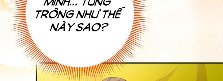 công chúa của loài chim chapter 51.1 232