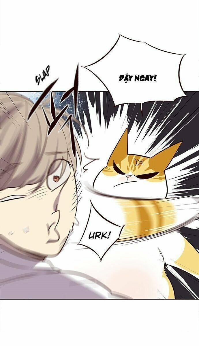 biến thân thành mèo chapter 21 73