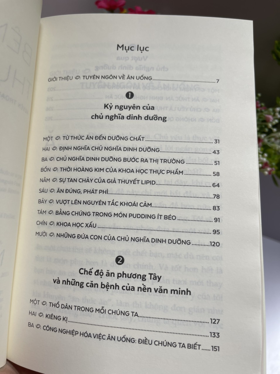 BÊNH VỰC THỰC PHẨM - HUYỀN THOẠI VỀ DINH DƯỠNG VÀ THÚ VUI ĂN UỐNG (IN DEFENSE OF FOOD) - Michael Pollan - Quỳnh Chi dịch – Nhã Nam - NXB Thế Giới