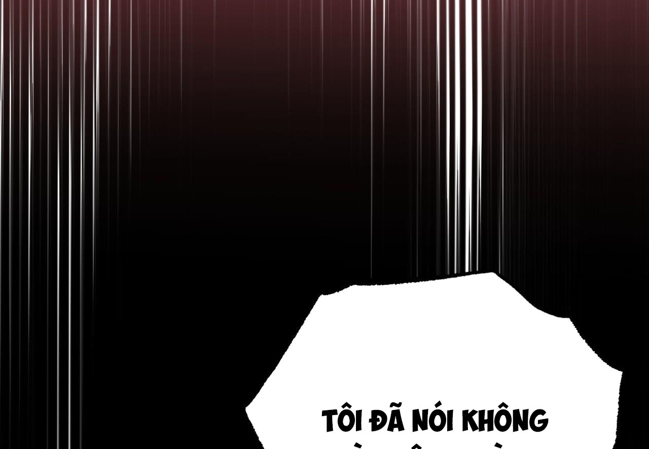 những chú thỏ của hapypy chapter 62 183