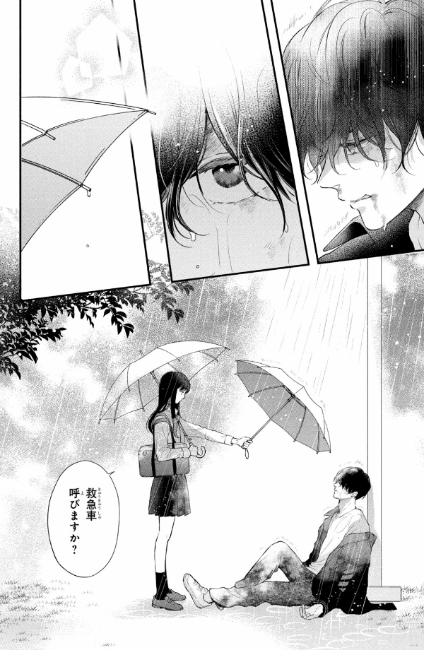 Hikaeme Ni Ittemo, Kore Wa Ai 1 - Love, That's An Understatement (Japanese Edition)