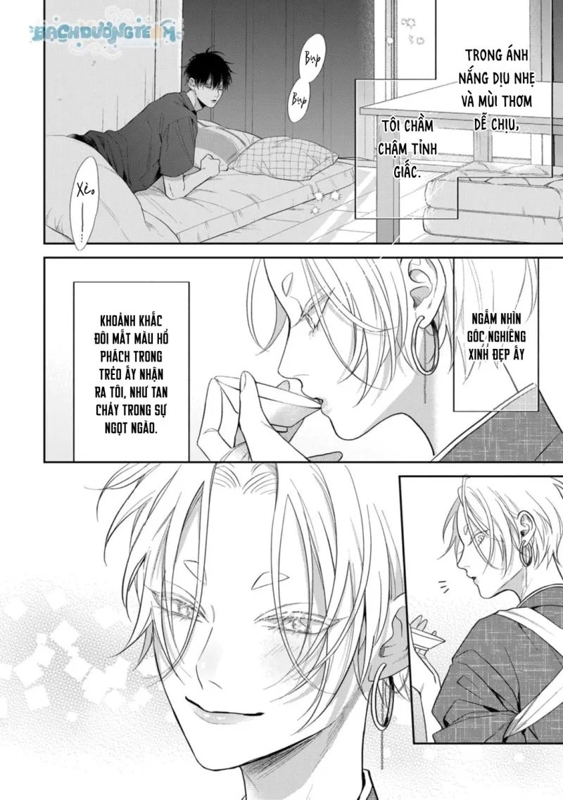 đặc ân của yêu hồ chapter 3 4