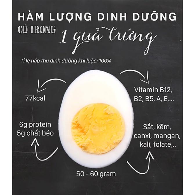 Bột Protein Lòng Trắng Trứng Cao Cấp OVOVITA Hũ 560gr Bổ Sung BCAAs Kích Thích Phát Triển Cơ