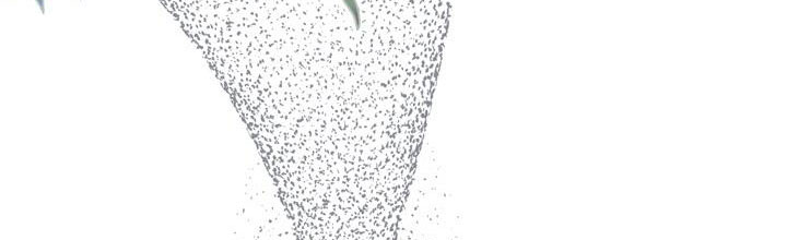 cách che giấu đứa con của hoàng đế chapter 43 236