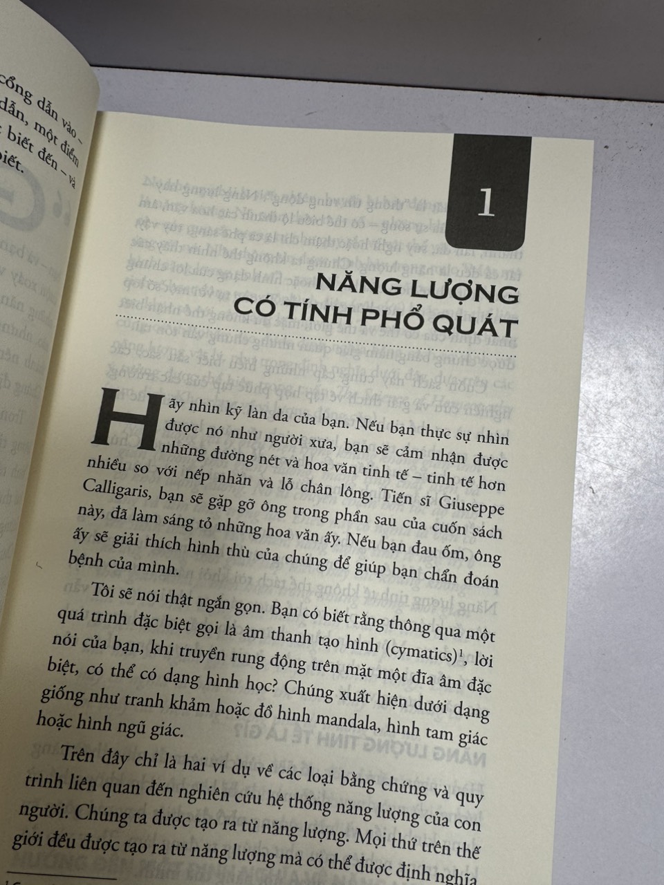 THE SUBTLE BODY: BÁCH KHOA THƯ VỀ GIẢI PHẪU NĂNG LƯỢNG - Cyndi Dale – Lê Hà Lộc dịch - Thái Hà –NXB Thế Giới