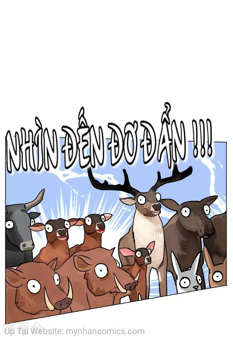 cô ấy đến rồi, xin nằm xuống! chapter 126 6