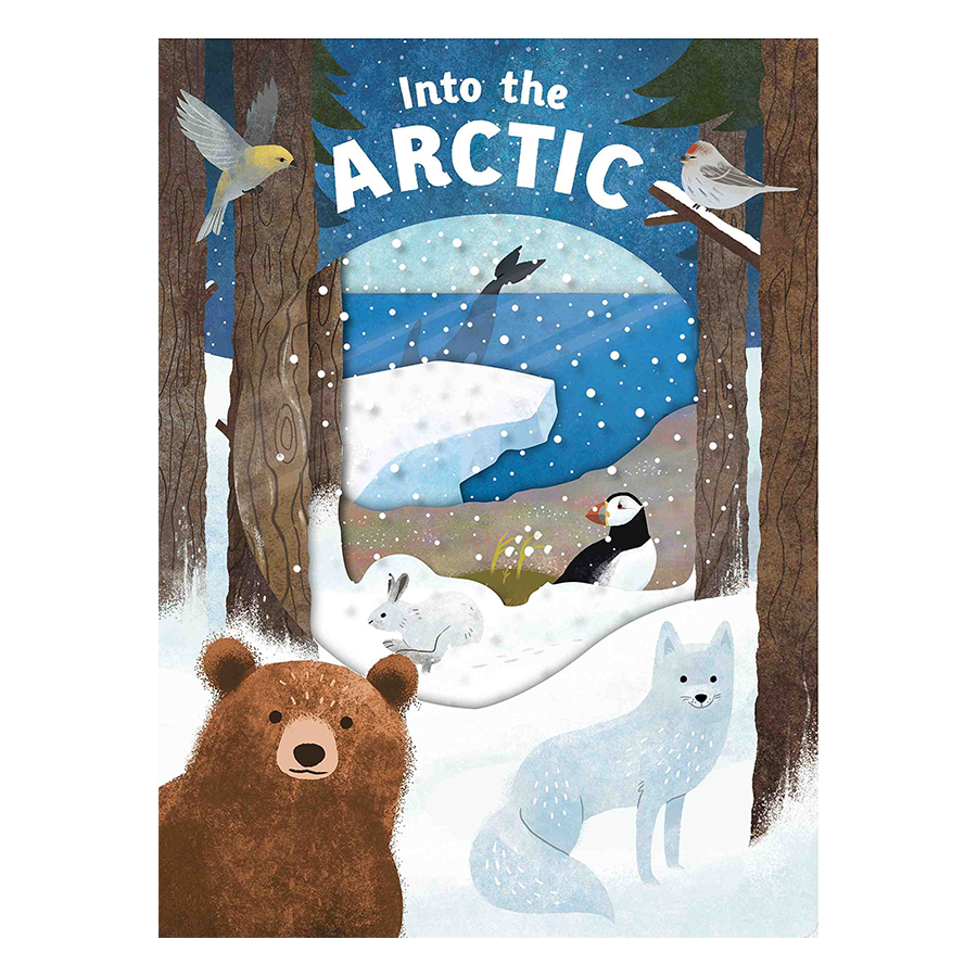 Into the Arctic: Look Closer - Look Closer (Board book)