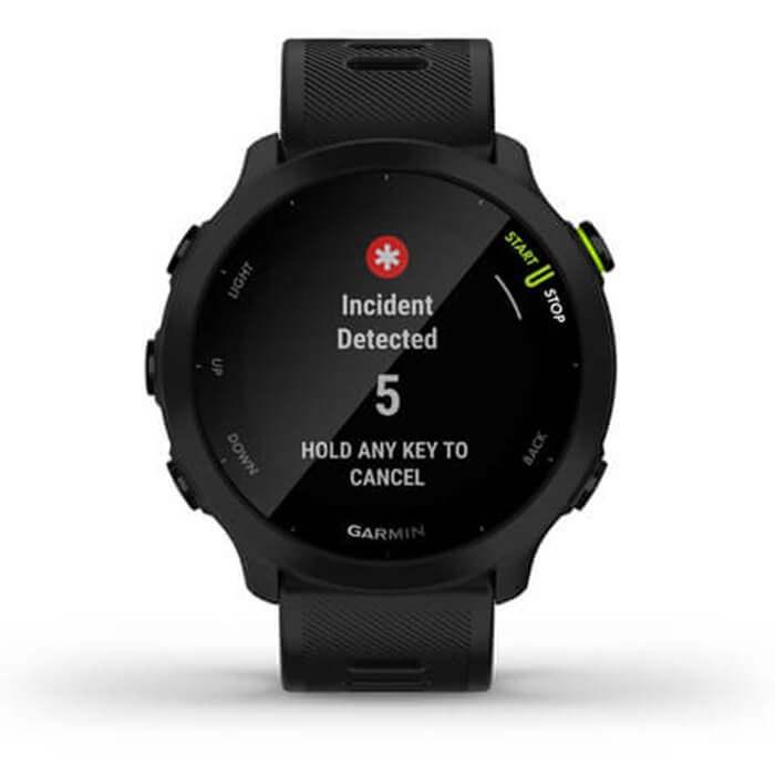 Đồng Hồ Garmin Forerunner 55 - Hàng Chính Hãng FPT