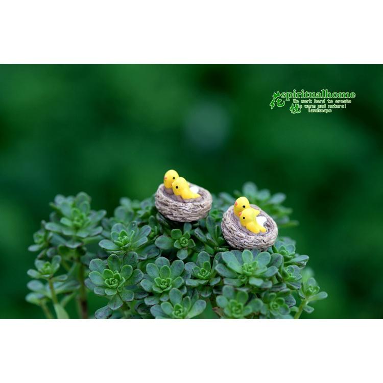 Tiểu cảnh mini ️H052 ️ Tổ chim mini trang trí tiểu cảnh, sen đá, terrarium