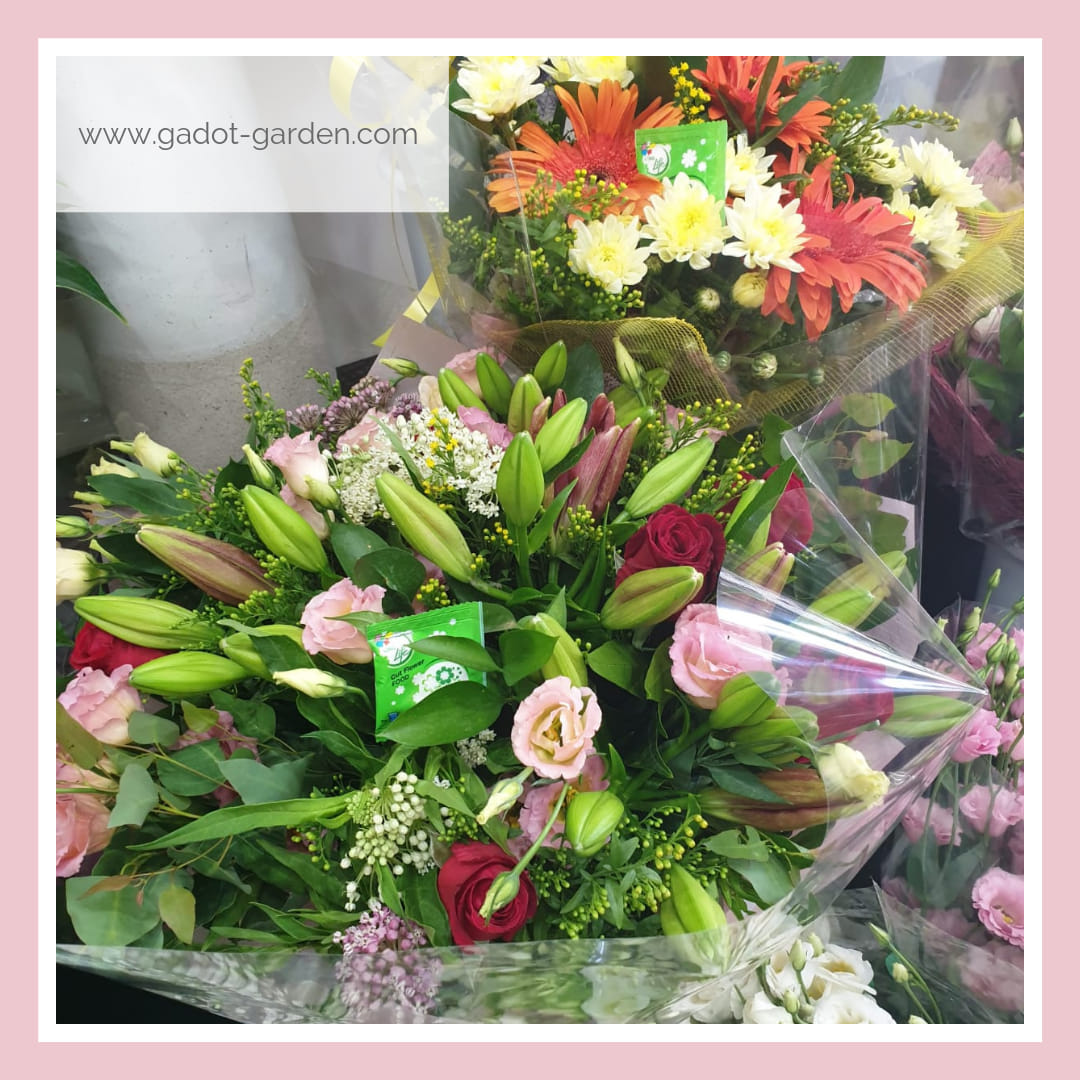 Thuốc Dưỡng Hoa Tươi Cắt Cành Nhập Khẩu Israel hiệu Longlife phù hợp dùng làm nước cắm hoa cho mọi loại hoa tại nhà và 14 ngày không cần thay nước mới