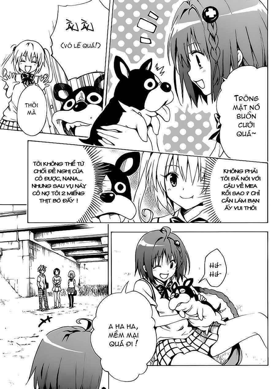 bọn tớ thích cậu! rito 2 - venus chapter 7 21