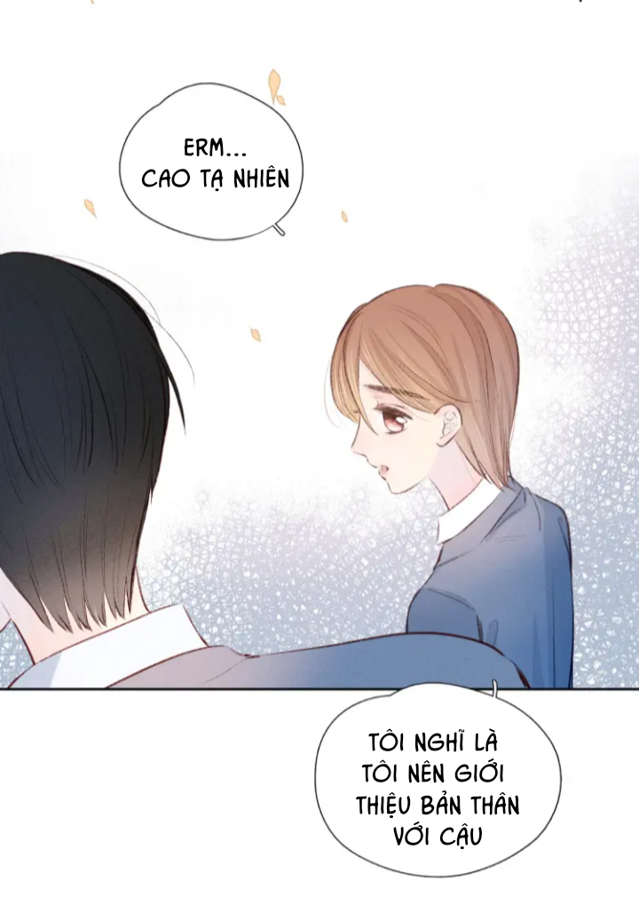 nỗi buồn của hoa cẩm tú cầu chapter 41 25
