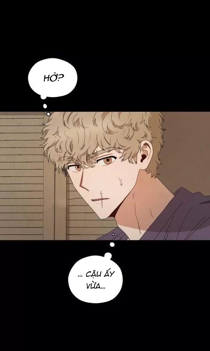 liveta chapter 16 16