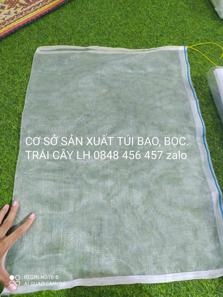 50 CÁI TÚI BAO,BỌC MÍT LƯỚI CƯỚC THÁI LOẠI TỐT 50*70 cm