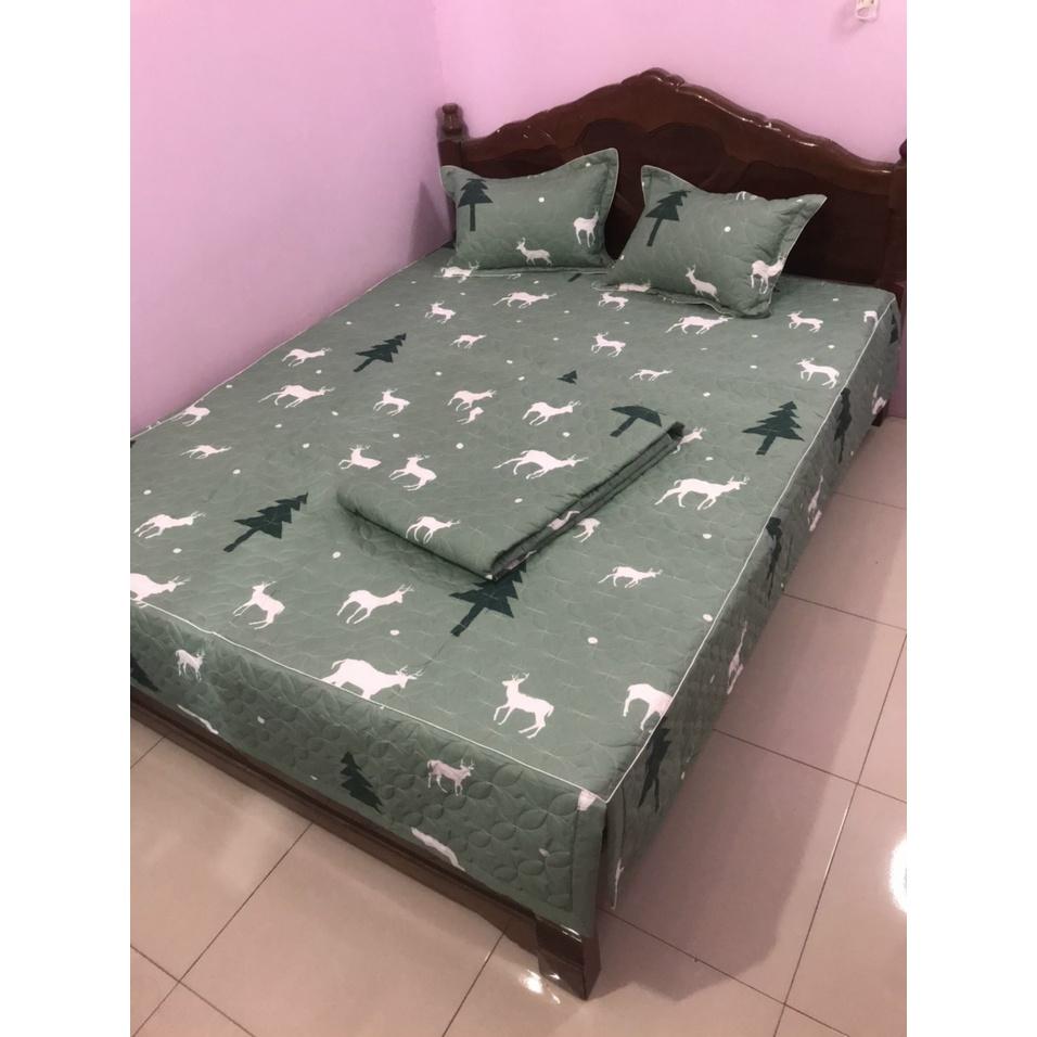 Bộ Ga 3 món Trần Bông Dày Dặn mẫu Tuần Lộc Xanh Xẻ Góc