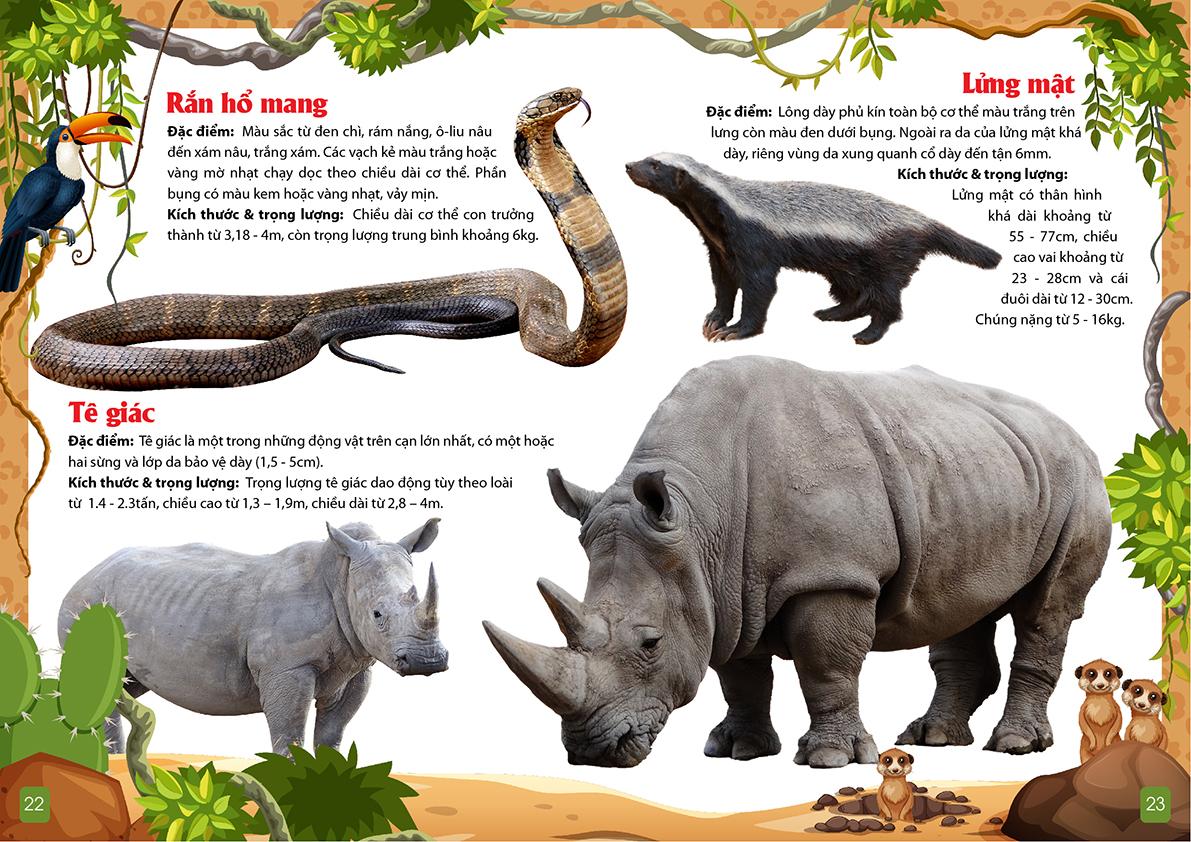 Khám Phá Động Vật 5 Châu - Châu Phi