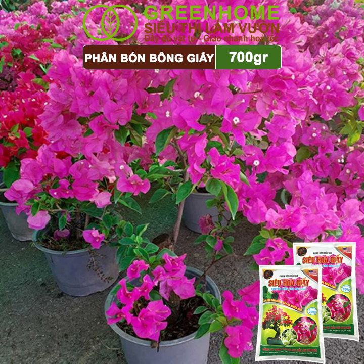 Phân Bón Hoa Giấy Greenhome, Bao 700gr, Hữu Cơ, Giúp Thân Cứng Cáp, Tạo Tán, Ra Bông Nhiều, Lâu Tàn
